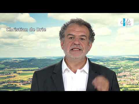 Eléments d’histoire du mouvement du développement local