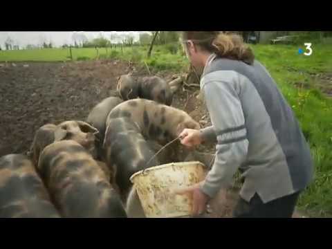 Entre tradition et modernité