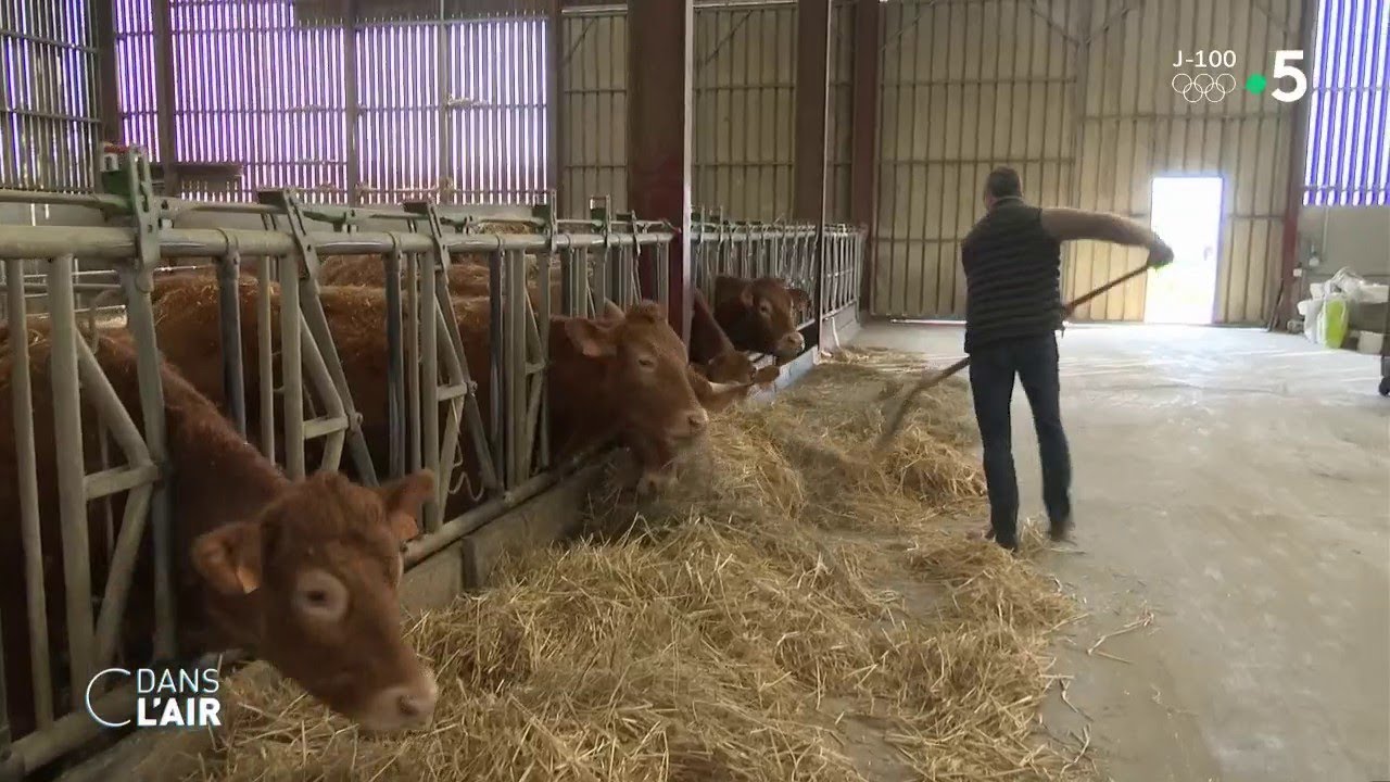 Loi Egalim : pourquoi le compte n'y est pas ? - Reportage #cdanslair 14.04.2021