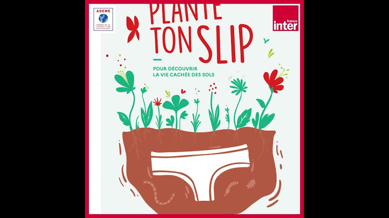 Opération "Plante Ton Slip" - La chronique environnement