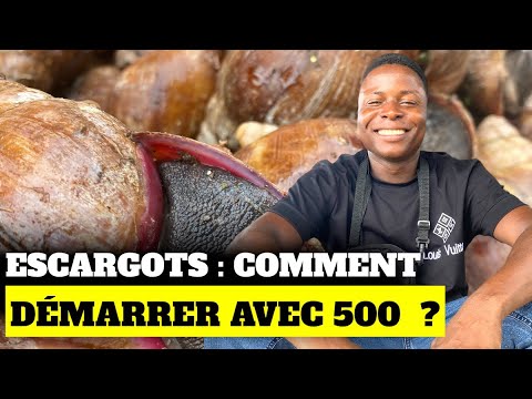 Escargots : comment démarrer avec 500 ?