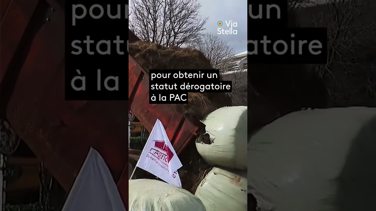 Mobilisation des agriculteurs corses devant la préfecture de Bastia